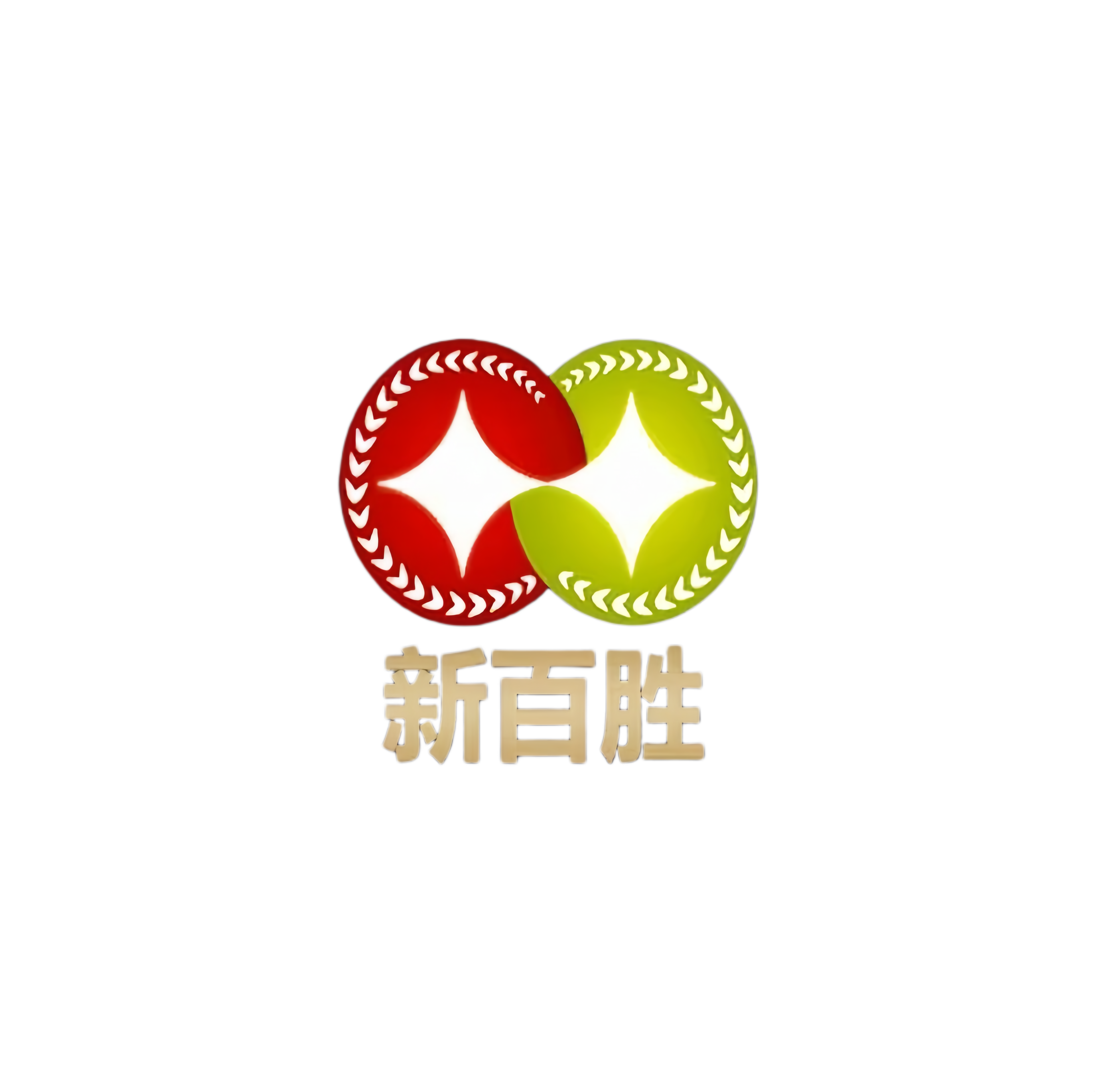 新百胜集团公司介绍